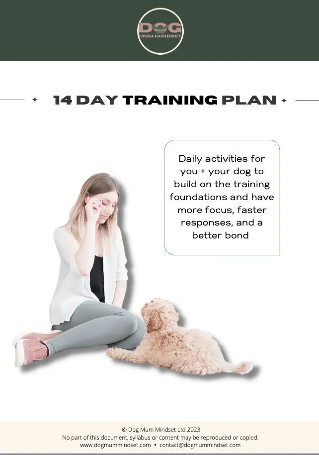 14 Day Training Plan
