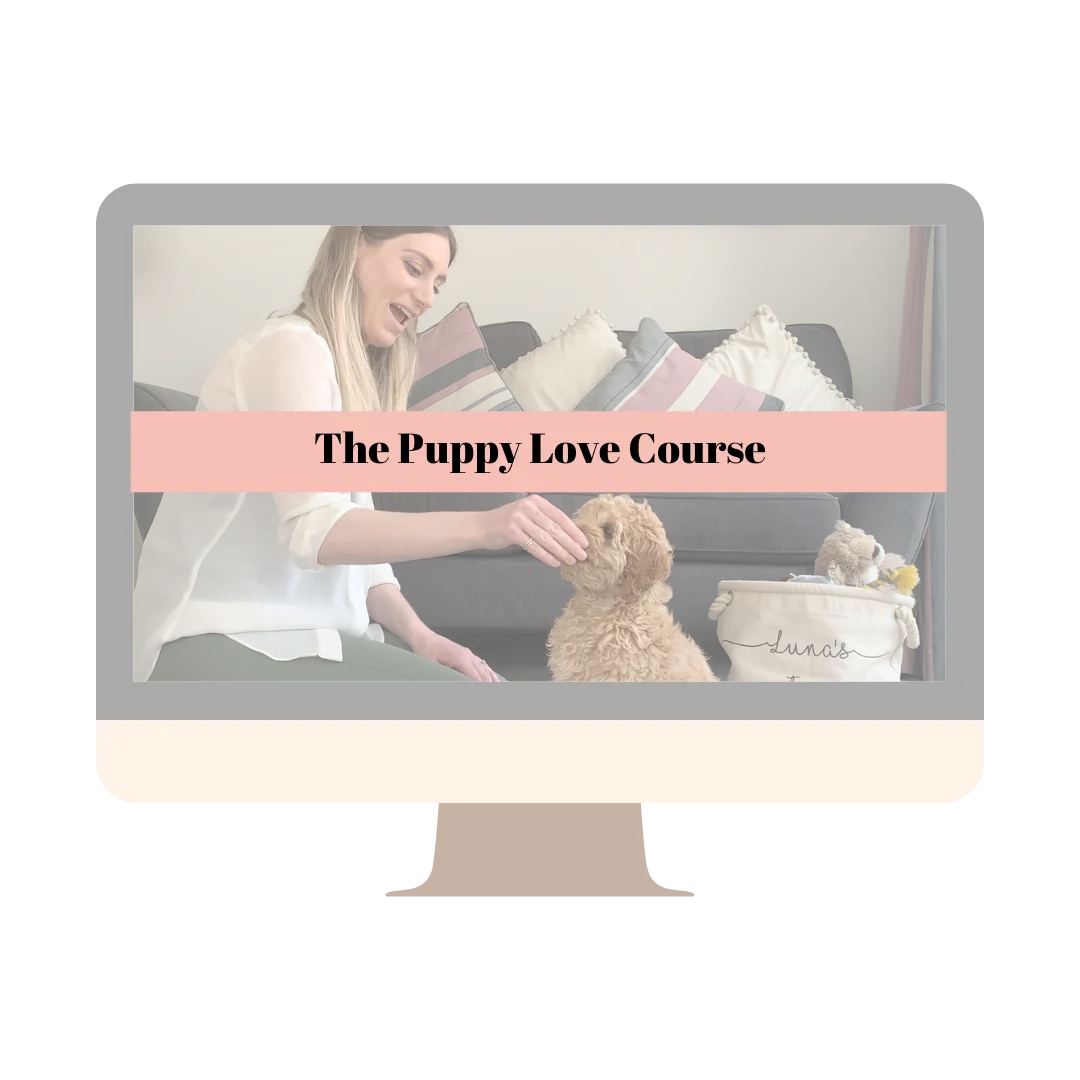 Puppy Love Course 