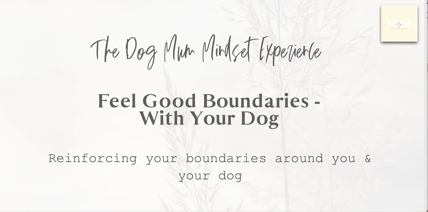 Feel Good Boundaries With Your Dog 