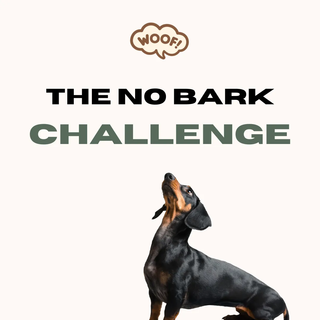 The No Bark Challenge 