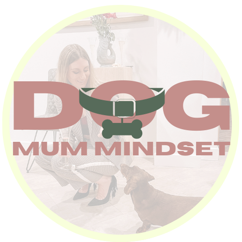 Online Dog Training For Dog Owners, Trainers and Behaviourists