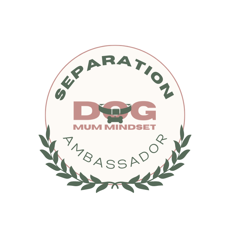 separation-ambassador-dashboard