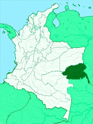 Cerros de Mavecure tours 2026 | Precios, cómo llegar y viaje desde ...
