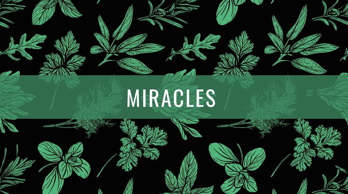 Episode 51: Miracles