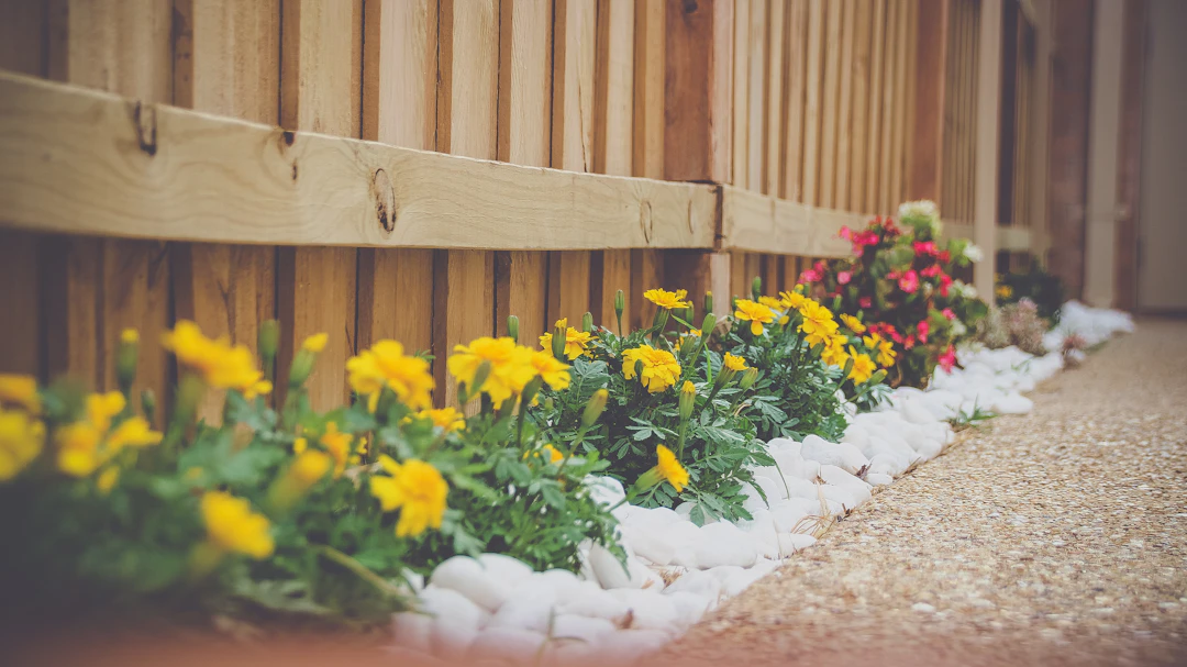 Green Thumb Lawn Maintenance