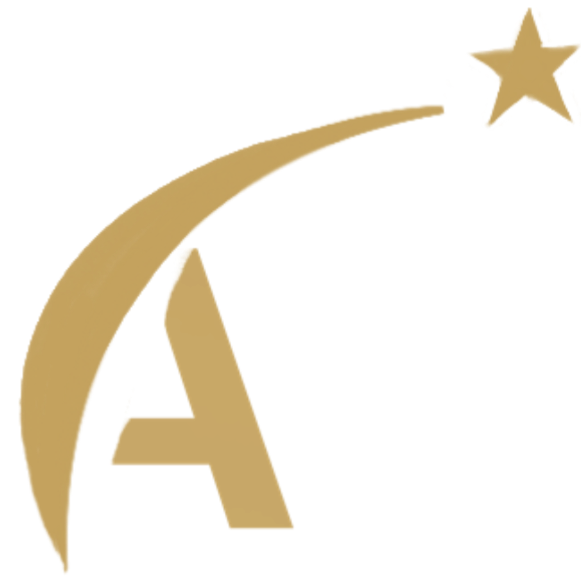 AFS Logo