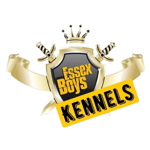 Essex Boys Kennels