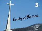 $30.00 - MATTED BEAUTY OF THE CROSS IMAGE