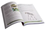 Gr. 5 Natural Sciences and Technology Book 1 (Full Colour)