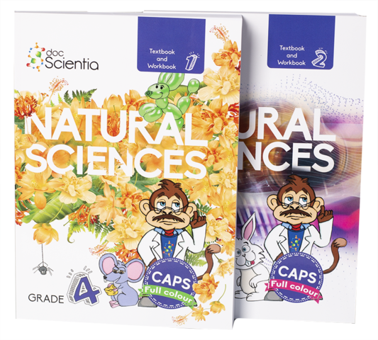 Download Grade 4 Natural Sciences samples
