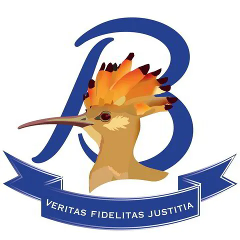 Bryanston High School logo