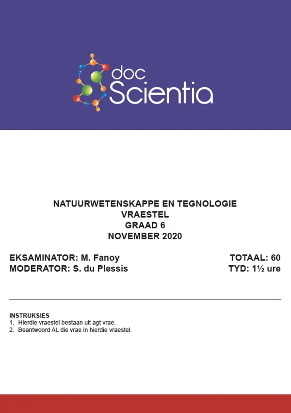 Gr. 6 Natuurwetenskappe en Tegnologie Nov 2020
