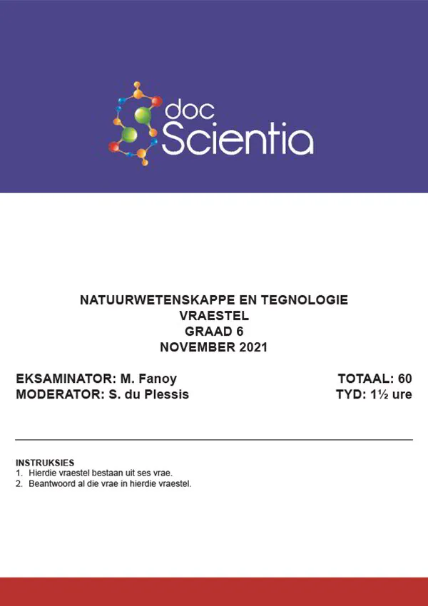 Gr. 6 Natuurwetenskappe en Tegnologie Vraestel Nov. 2021