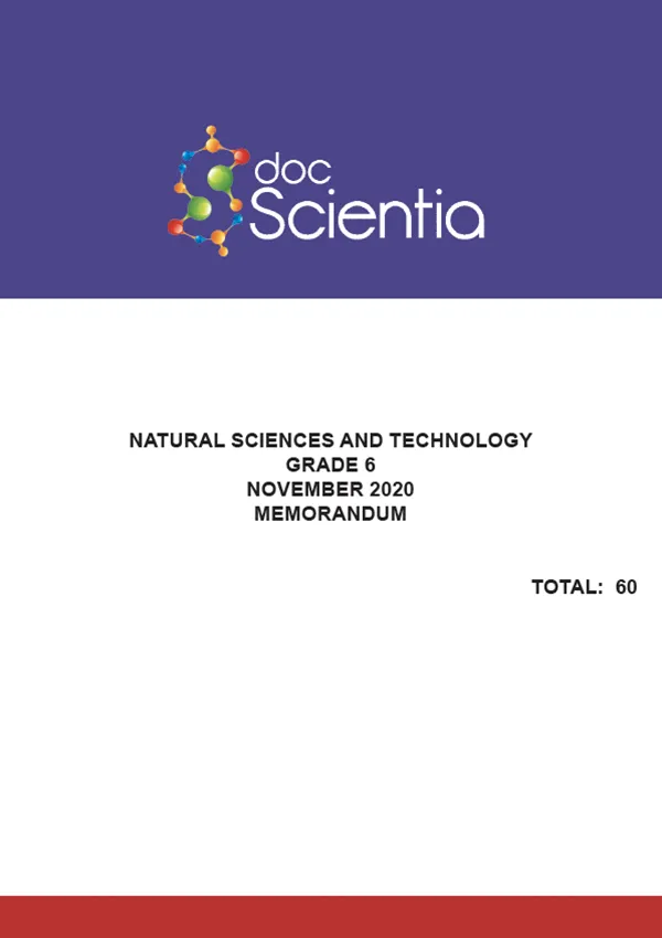 Gr.6 Natural Sciences and Technology Paper Nov 2020 Memo