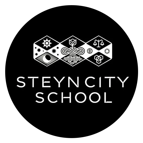 Steyncity School logo