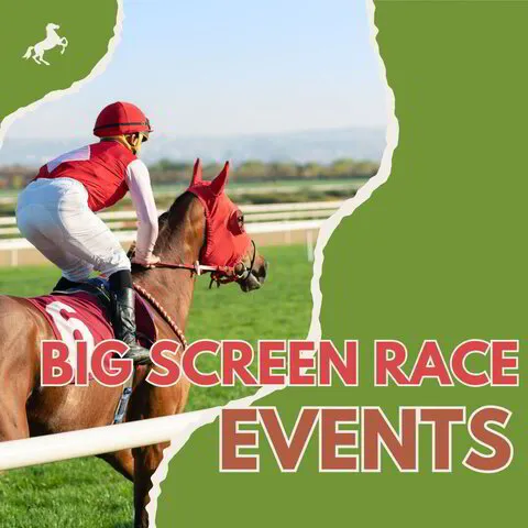 Wedding, Party, Corporate Entertainment in the North East | Out There ...