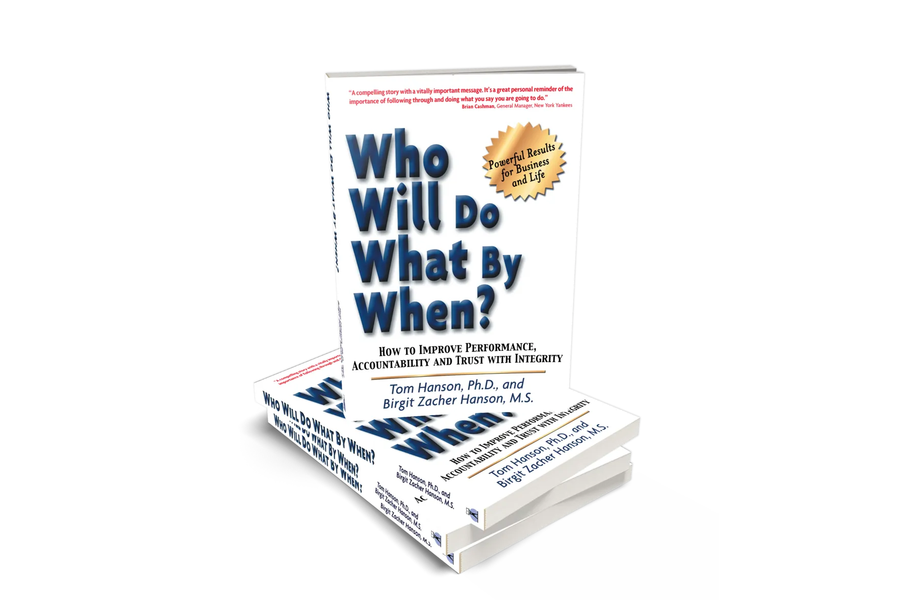 Who Will Do What By When Audiobook