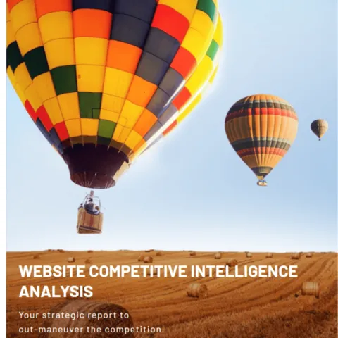 Social Media Shop ZA Website Competitive Intelligence Analysis