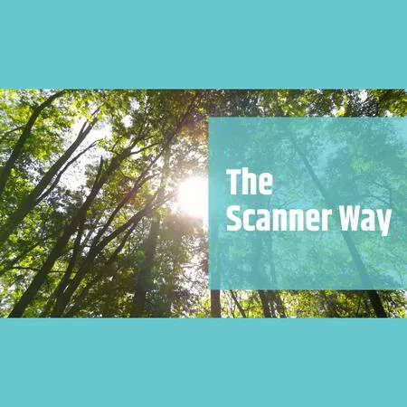 Intensivkurs: The Scanner Way - Business-Aufbau für Vielbegabte