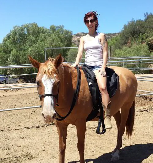 Horse Clinics & Expos with Missy Wryn