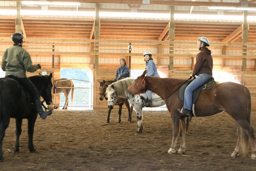 Enroll a Training the WHOLE Horse® MASTER Instructor