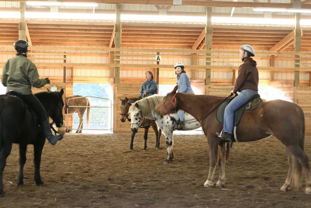 Enroll - Become a Training the WHOLE Horse® MASTER Instructor