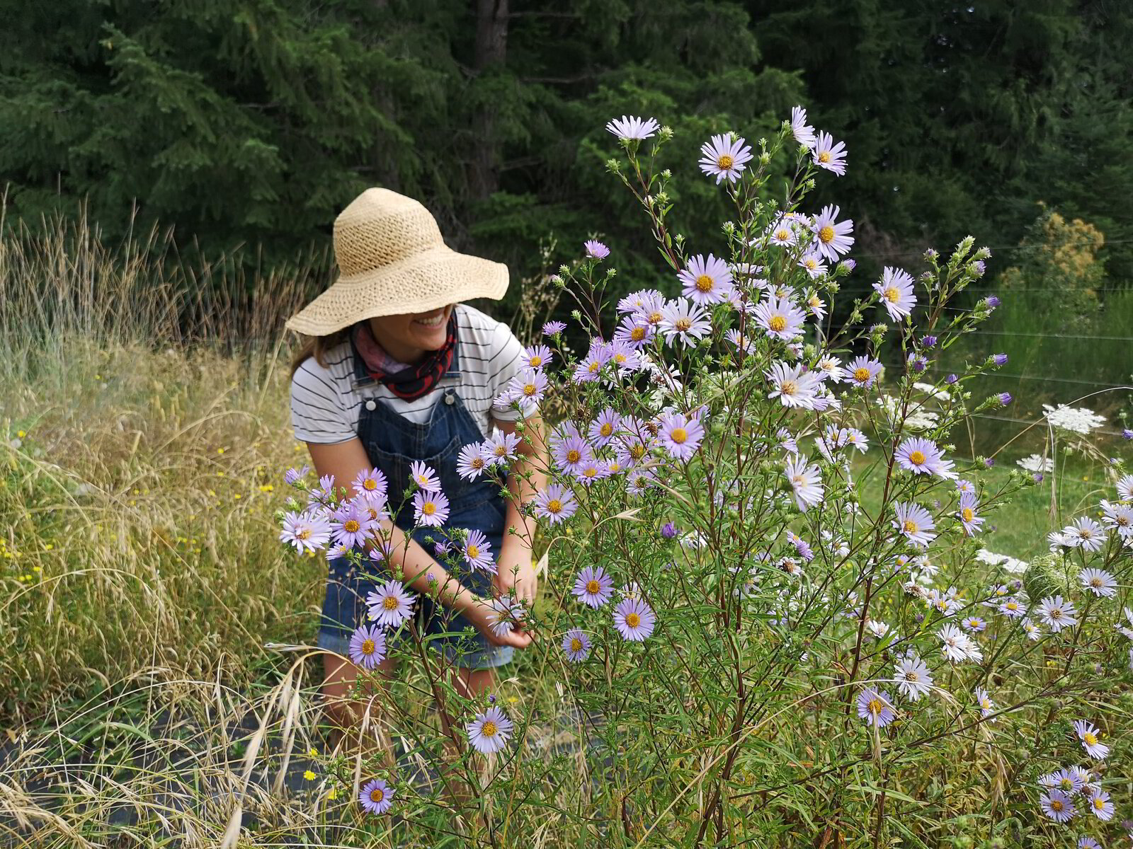 Gallery Restoration Landscaping Company Victoria, BC