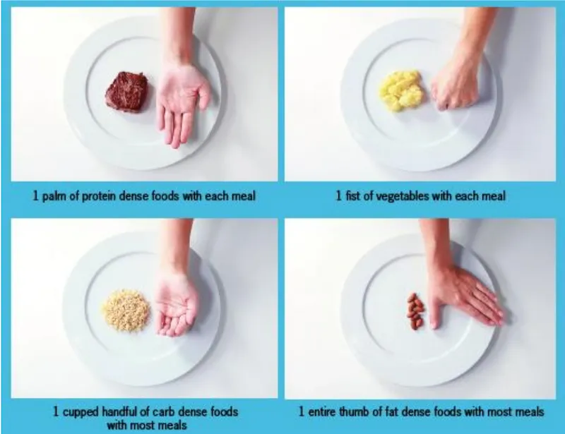 Hand Method Calorie Deficit Why Counting Calories Doesn't Work