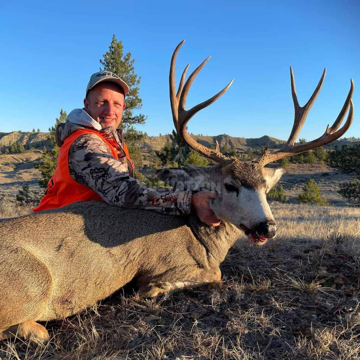 Trophy Taker Club | Elevation Rifles Hunt-Ready Packages