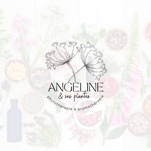 Angeline Bolchert