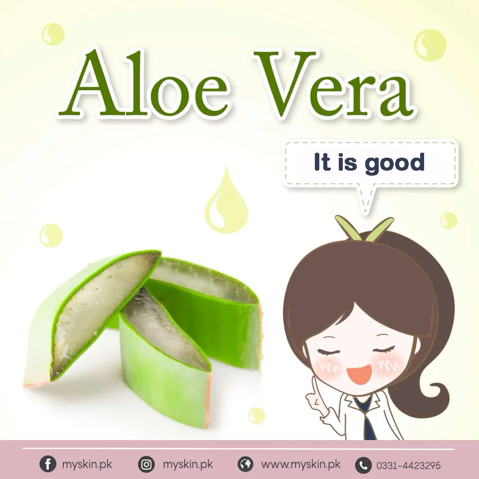 Aloe Vera gel...How can it brighten your skin??