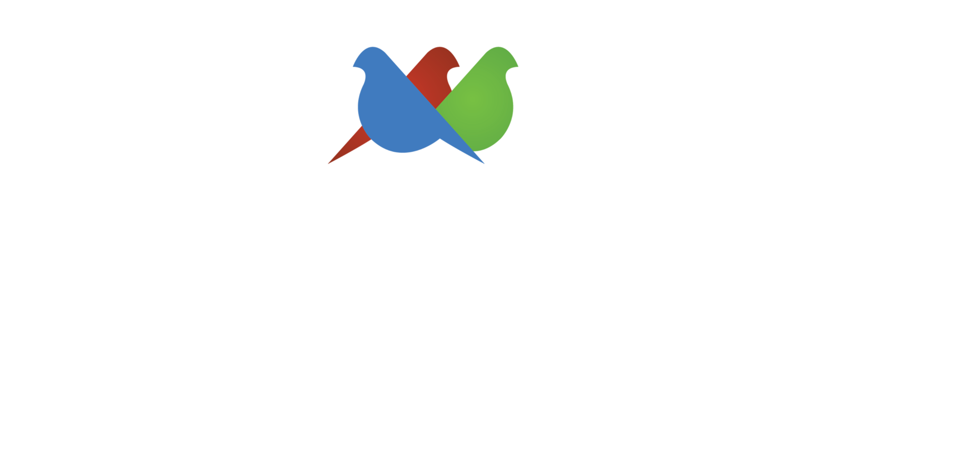 Explore the Vibrant and Captivating World of Finch India | Finch India