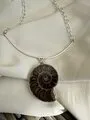 Ammonite Fossil Silver Pendant