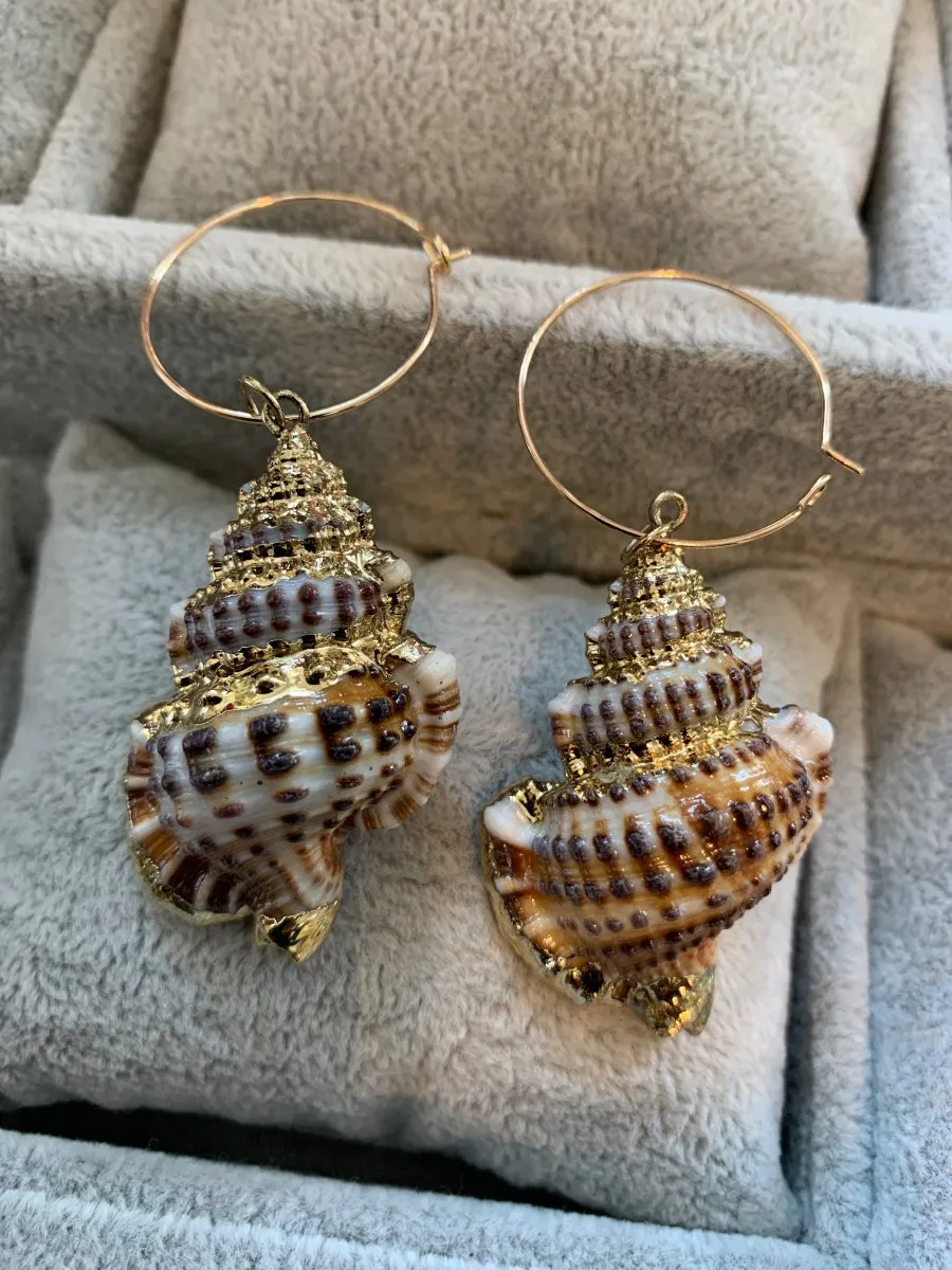 Shell Hoop Earrings 