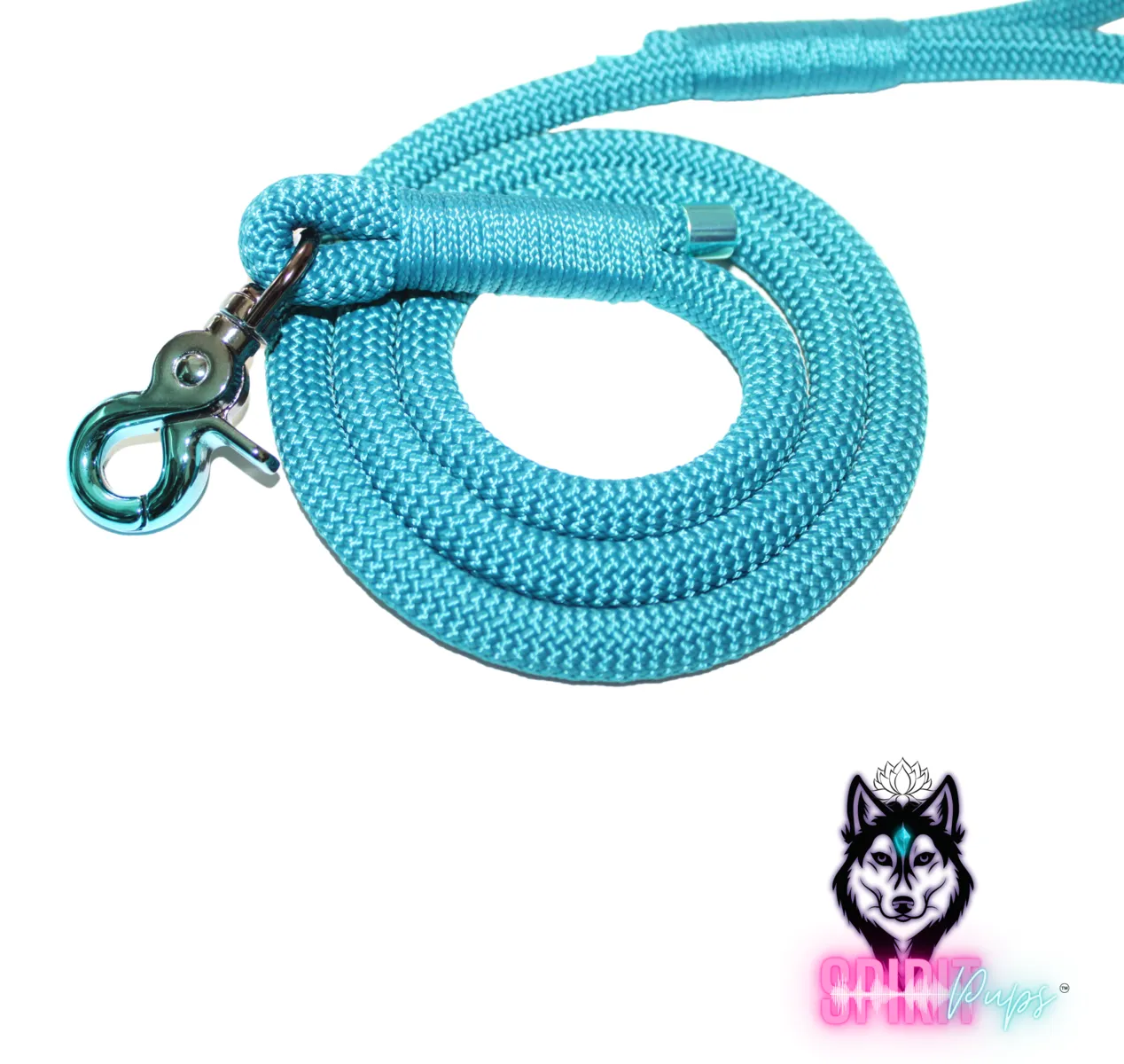  Dog Leash - Aqua with Aqua Wrap