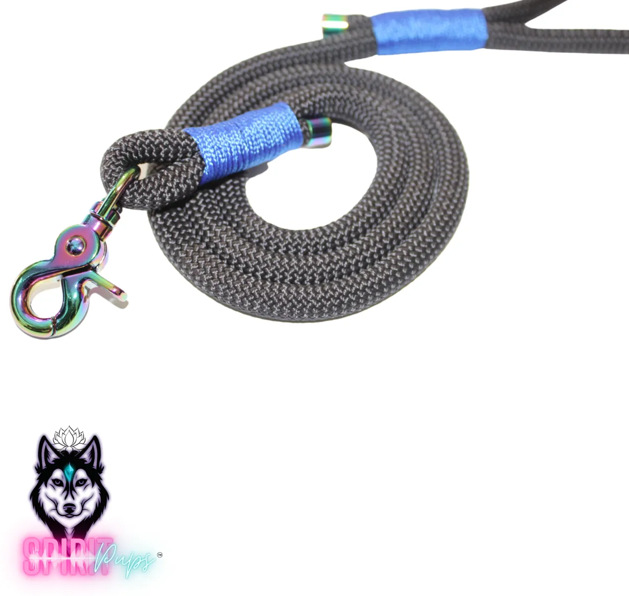 Dog Leash - Dark Grey with Electric Blue Wrap