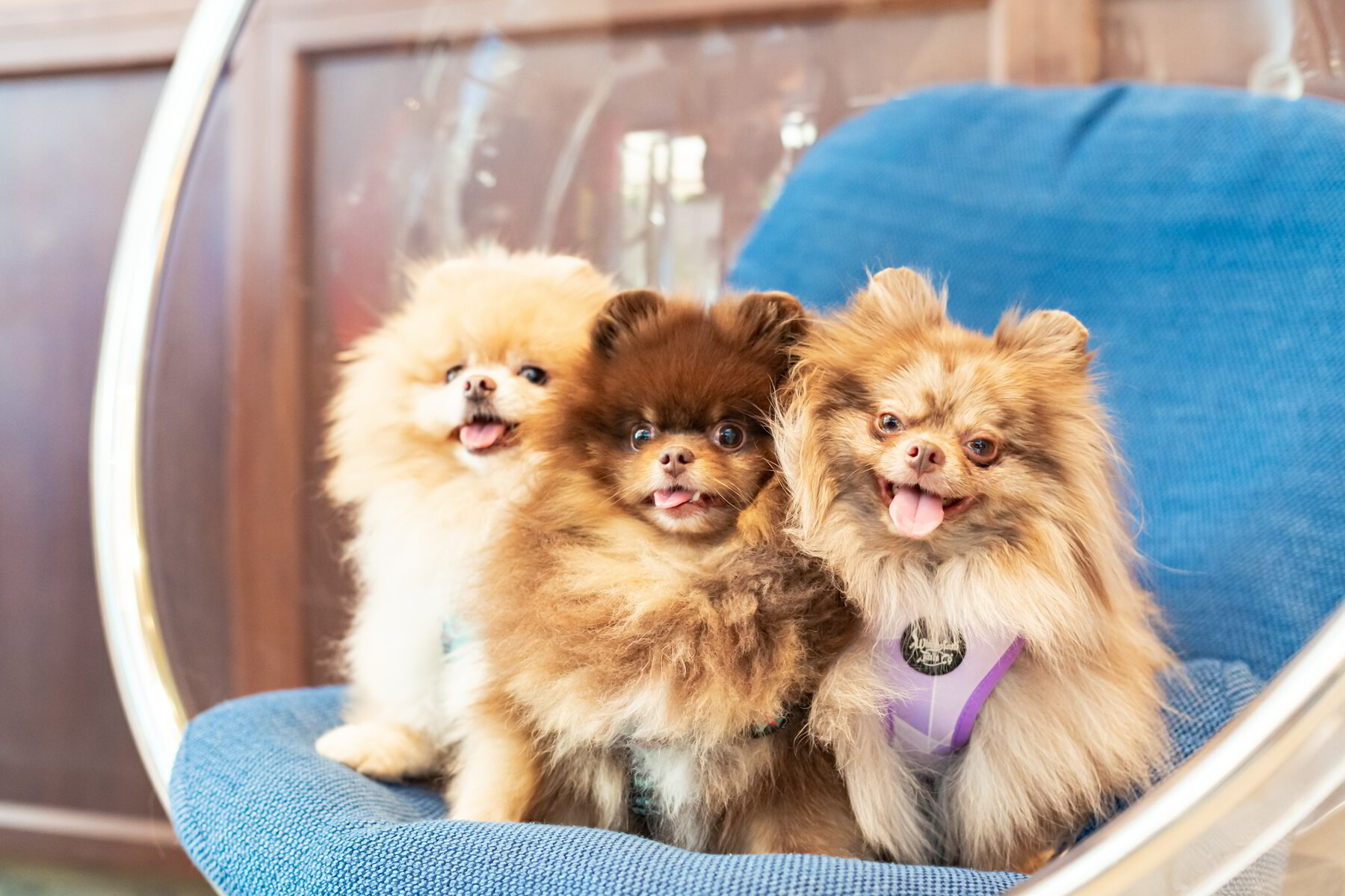 The Cuddle Club Heroes