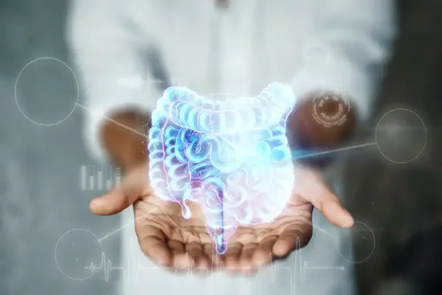 Person holding a holographic image of intestines, illustrating gut health concept.