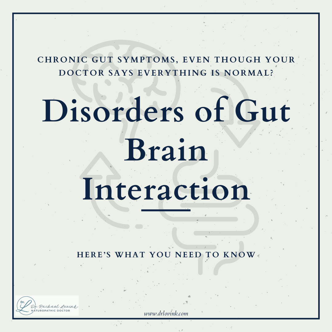 Thumbnail for Disorders Of Gut