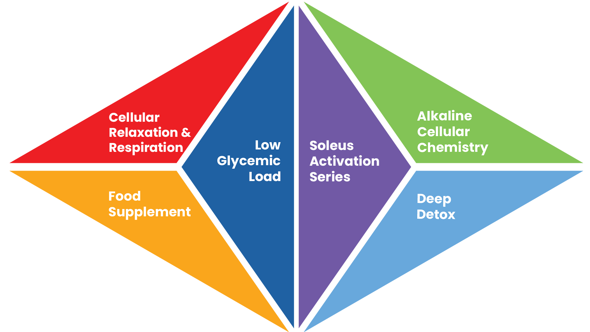 diabetes-reversal-program-wellpro-wellness