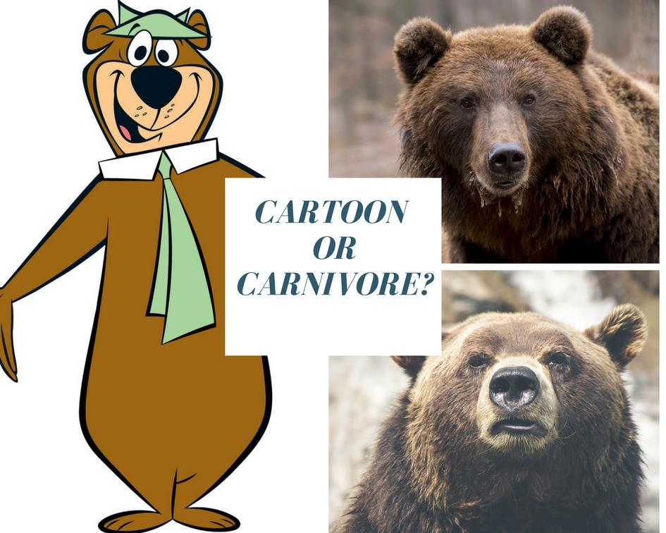 5 Tricks To Tell If The Bear Walking Toward You Is Dangerous Or Just A Cartoon Bear 5 Tricks To Tell If The Bear Walking Toward You Is Dangerous Or Just A Cartoon Bear