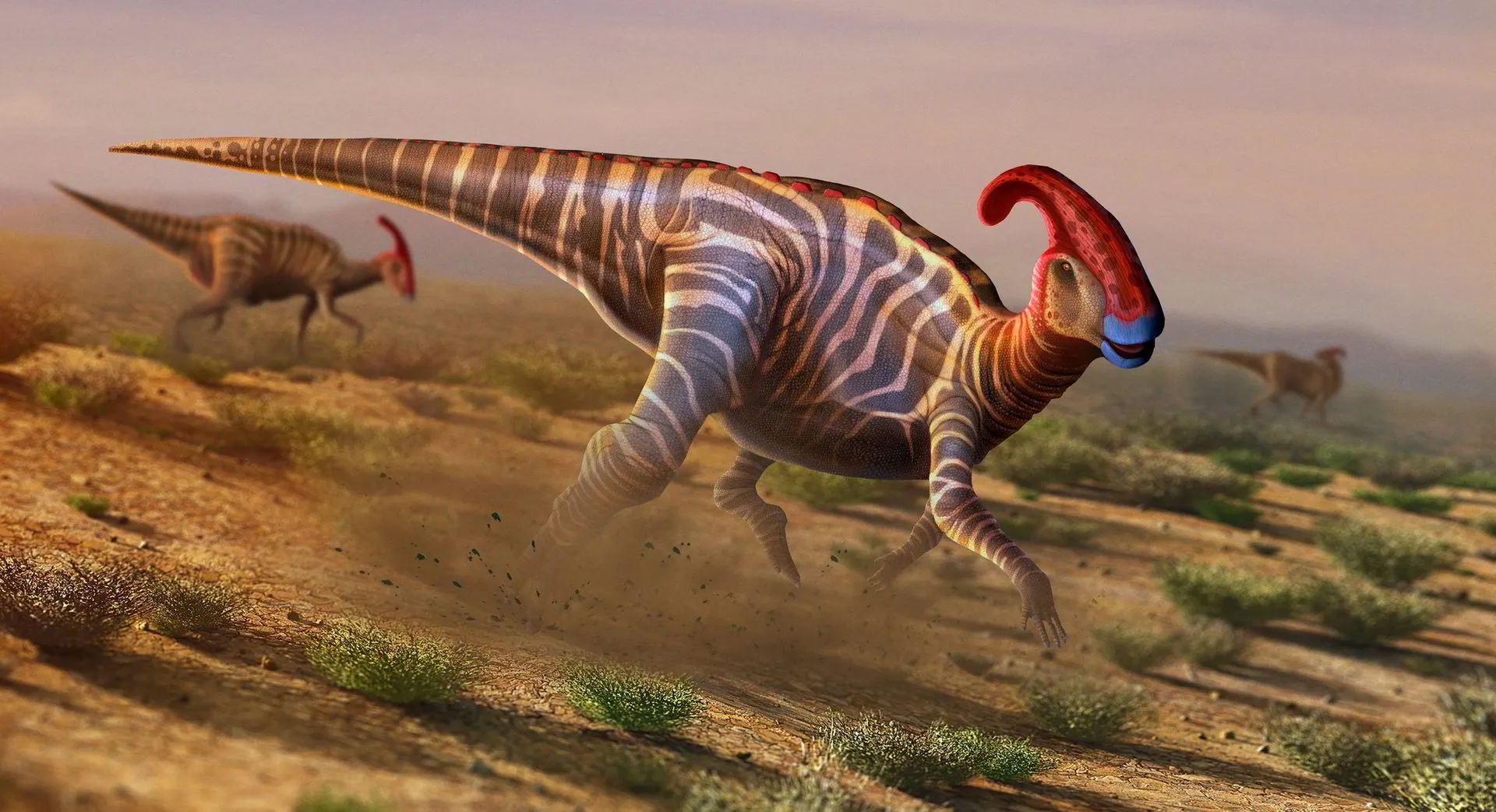 Parasaurolophus