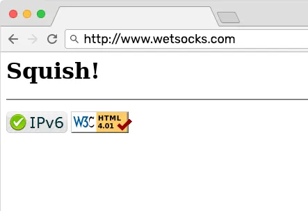 wetsocks.com