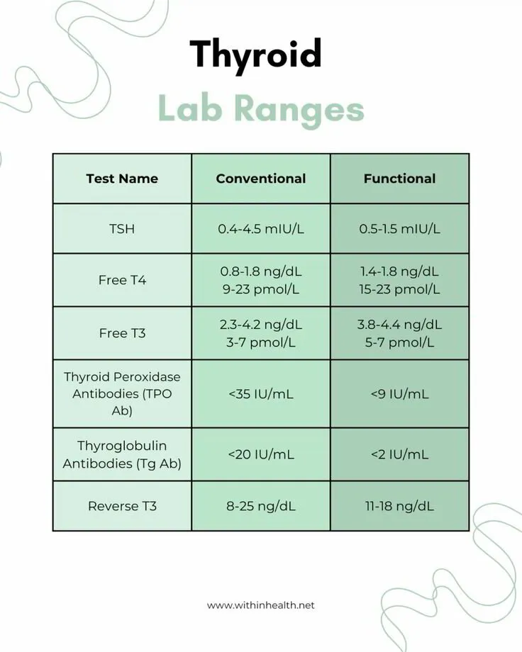 Understanding The RT3 Test and It's Role In Why You're So Tired