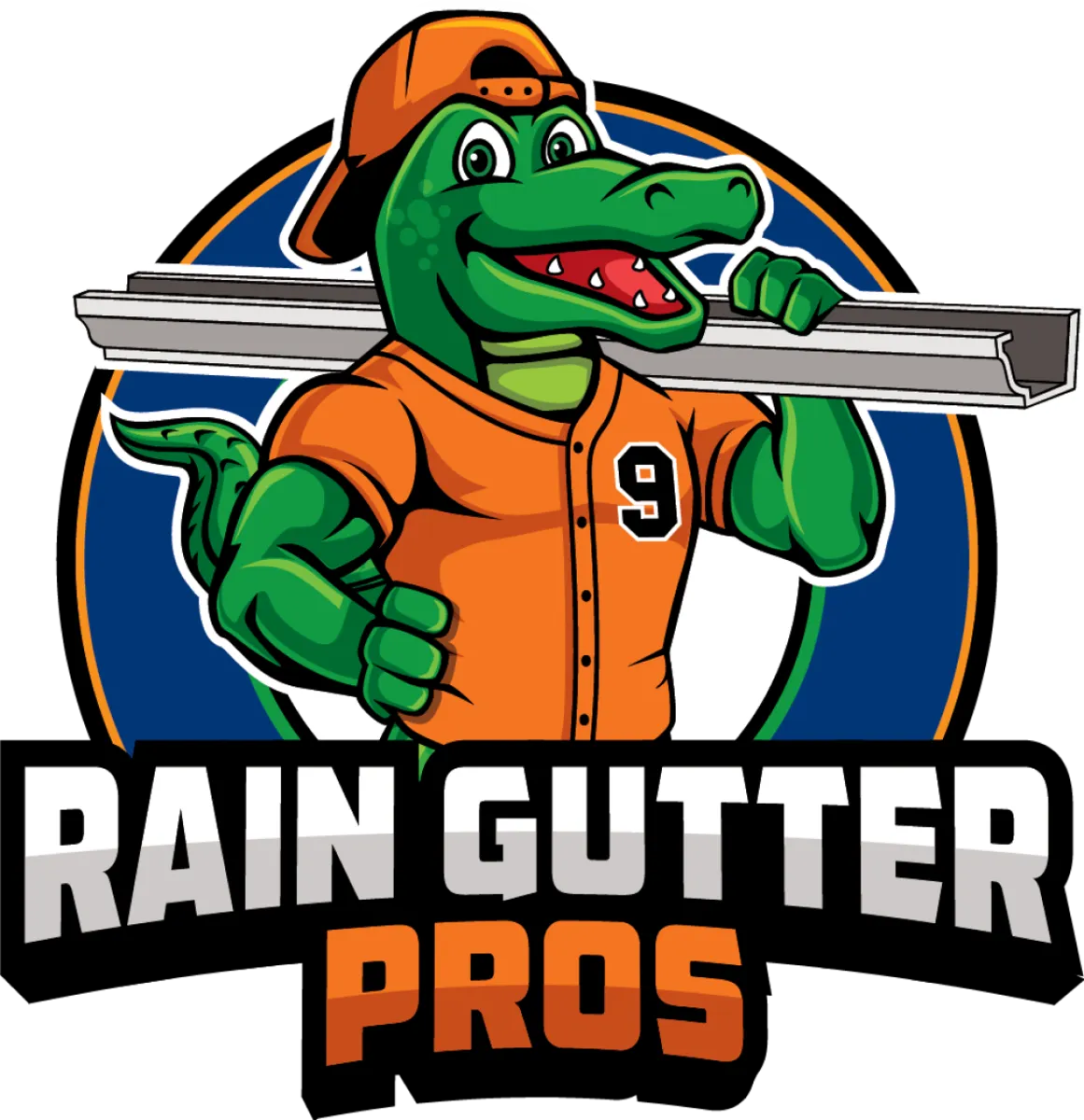 Rain Gutter Pros