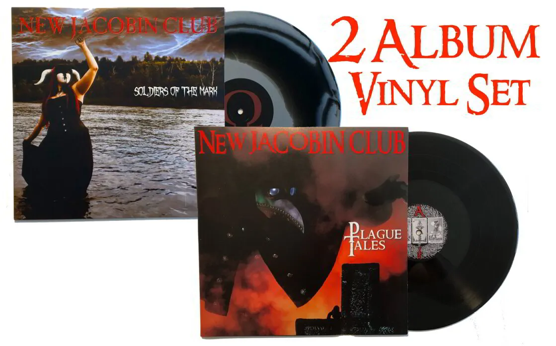12" Vinyl 2 Album Set 