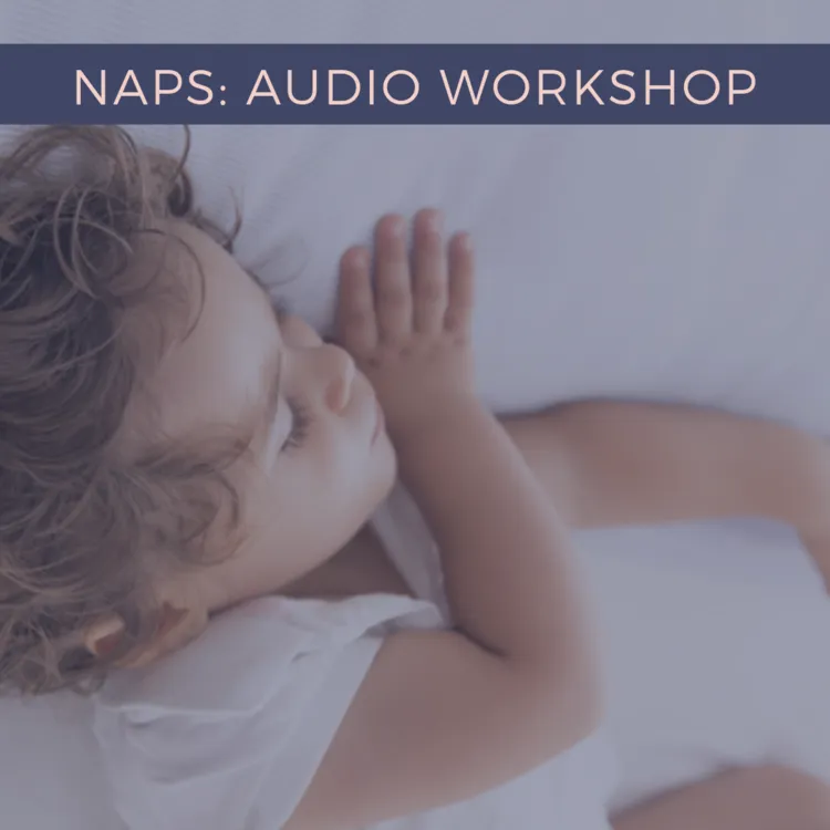 Naps Audio Workshop