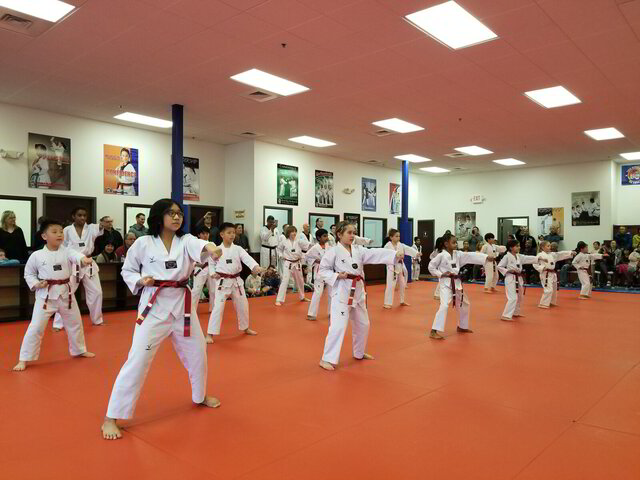 Tiger World Class Taekwondo - Ellicott City, MD