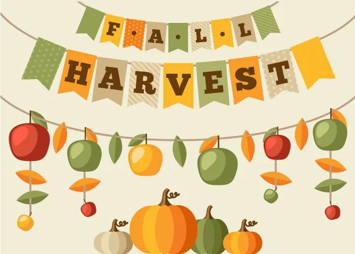 Week 6: Fall Harvest