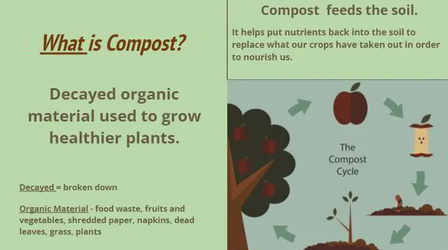 What is compost